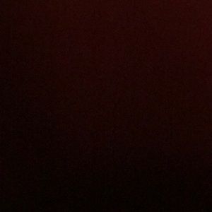 Meet your Posher, Shauncia